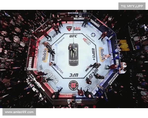 ufc是什么赛制 ufc是什么赛制