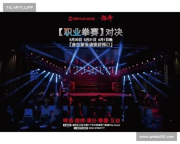 日本综合格斗热血激战顶级战士对决武士精神与现代艺术融合盛宴